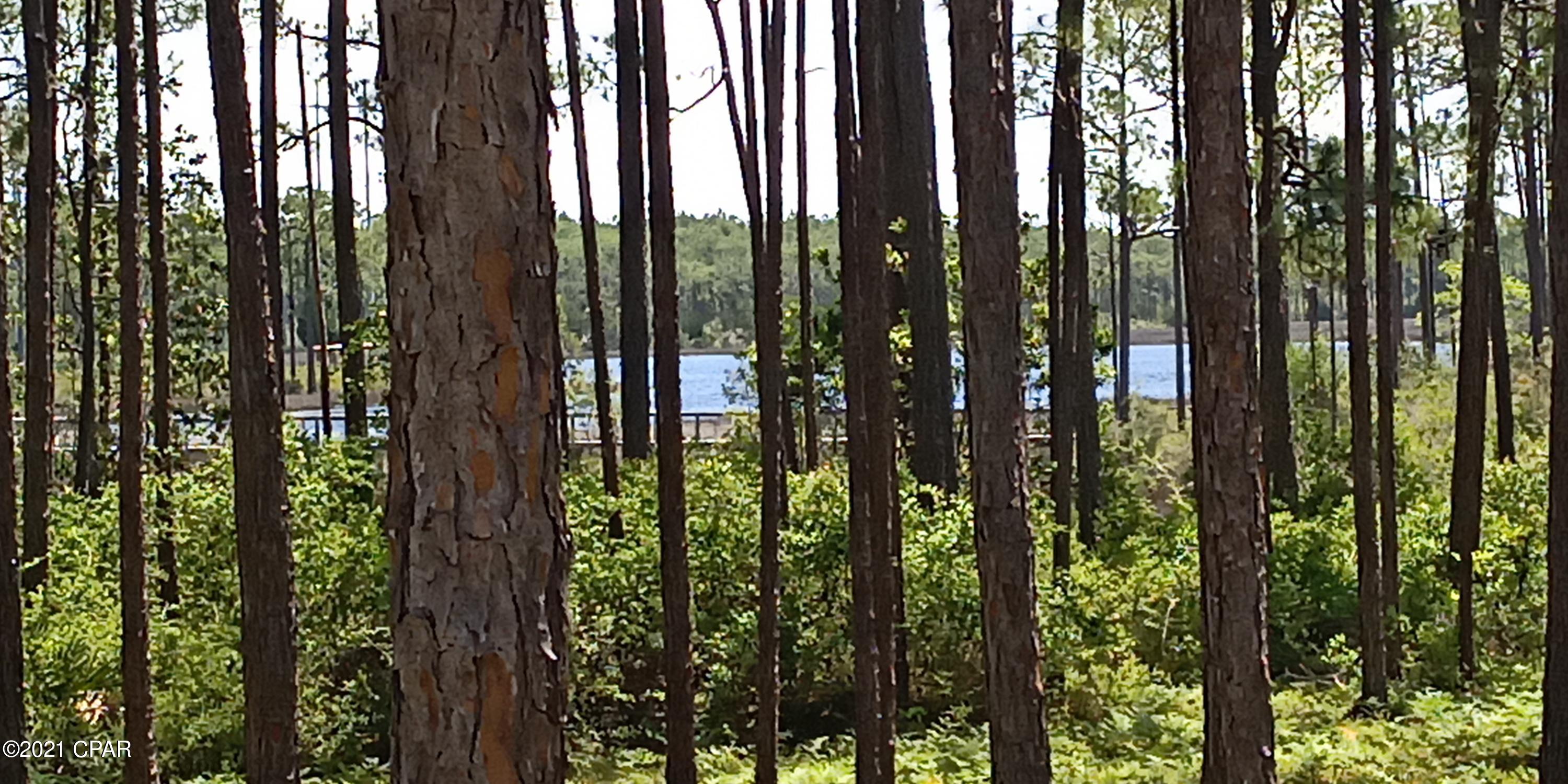 8402 Deepwater Creek Lane Panama City Beach FL 32413