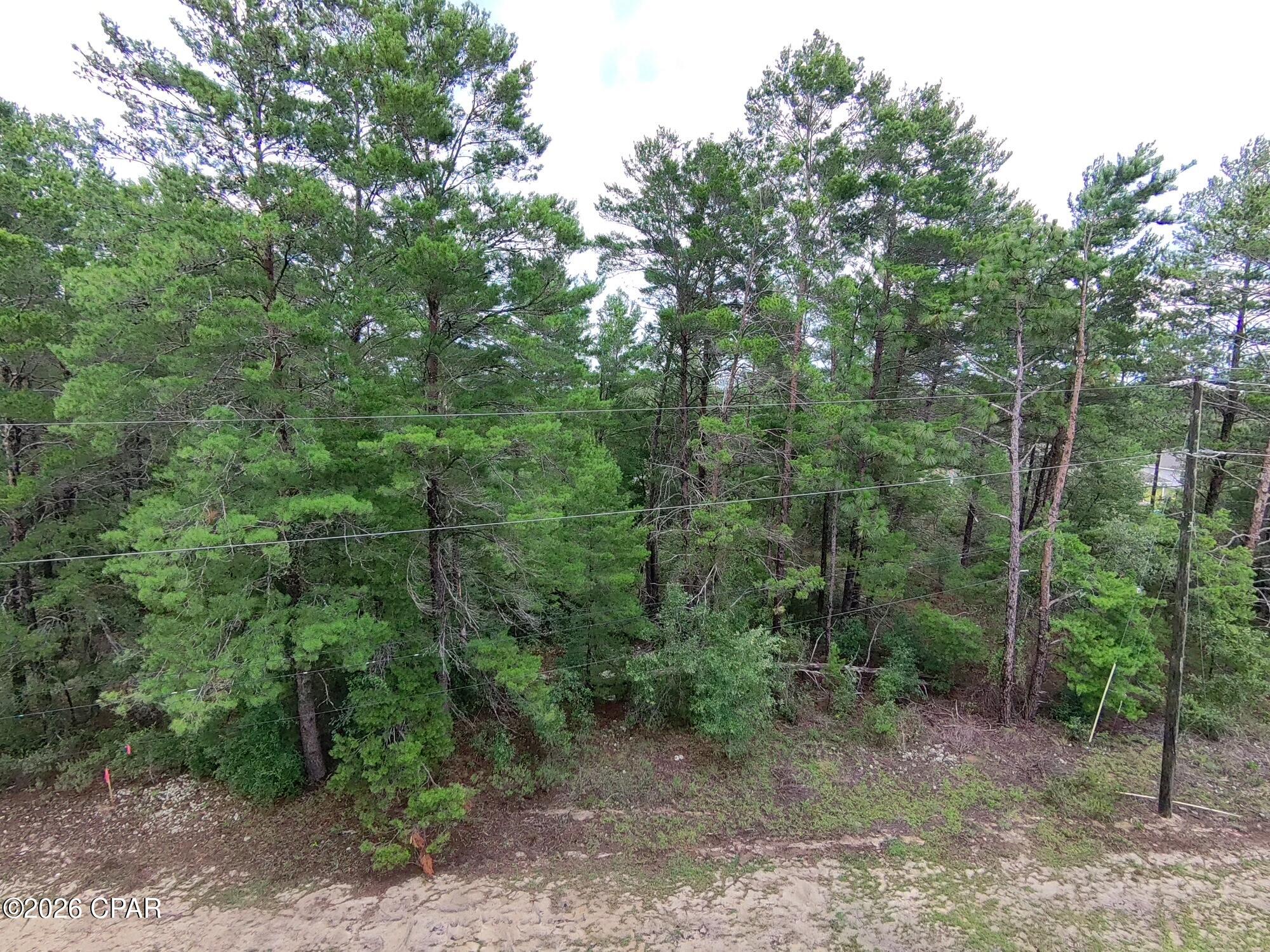 Lot 22 Pinehurst Avenue Chipley FL 32428