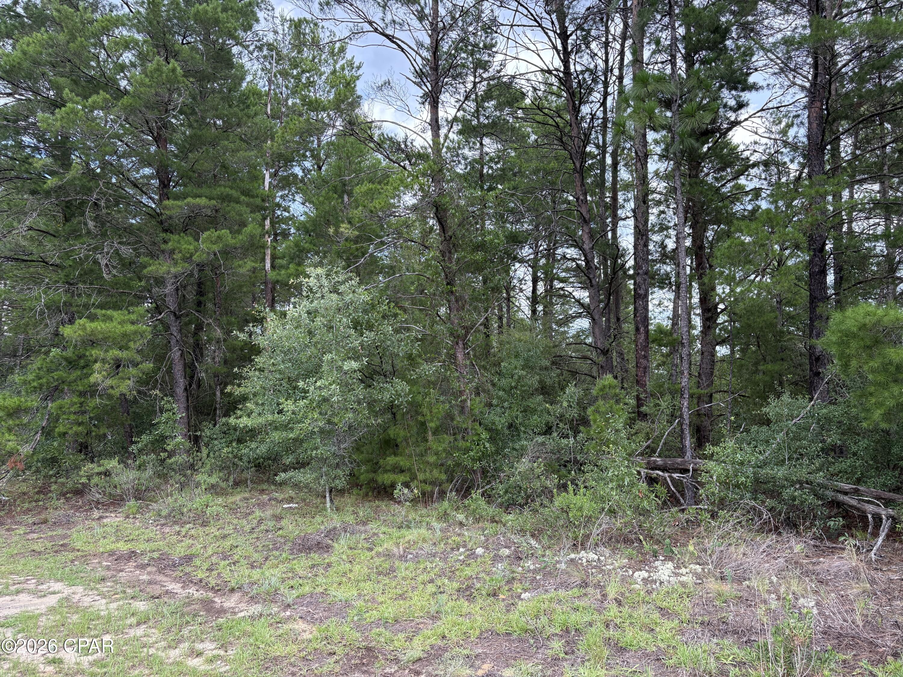 Lot 22 Pinehurst Avenue Chipley FL 32428
