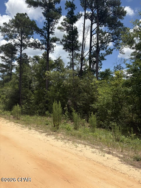 0 Tiger Avenue Marianna FL 32448