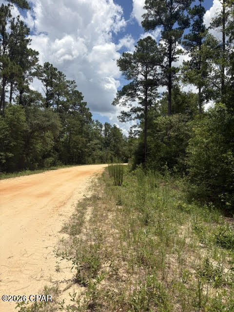 0 Tiger Avenue Marianna FL 32448
