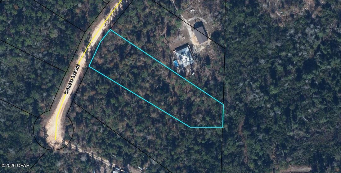 0 Tiger Avenue Marianna FL 32448