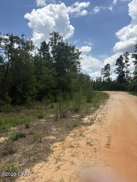0 Tiger Avenue Marianna FL 32448