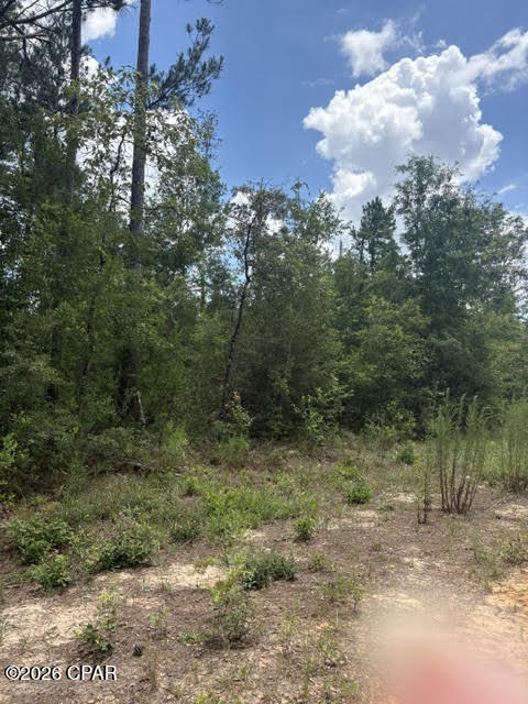 0 Tiger Avenue Marianna FL 32448
