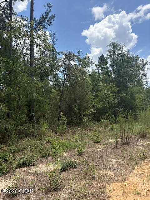 0 Tiger Avenue Marianna FL 32448