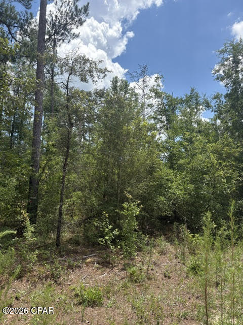 0 Tiger Avenue Marianna FL 32448