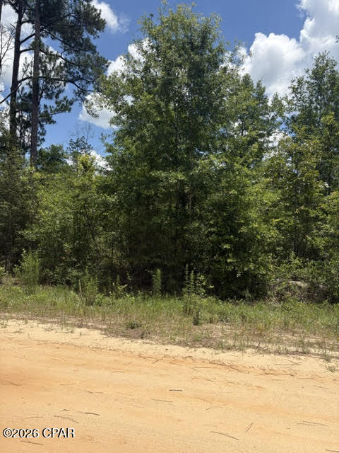 0 Tiger Avenue Marianna FL 32448