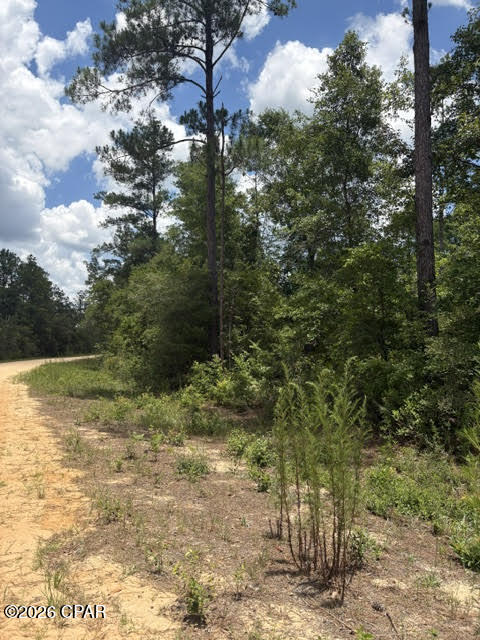 0 Tiger Avenue Marianna FL 32448