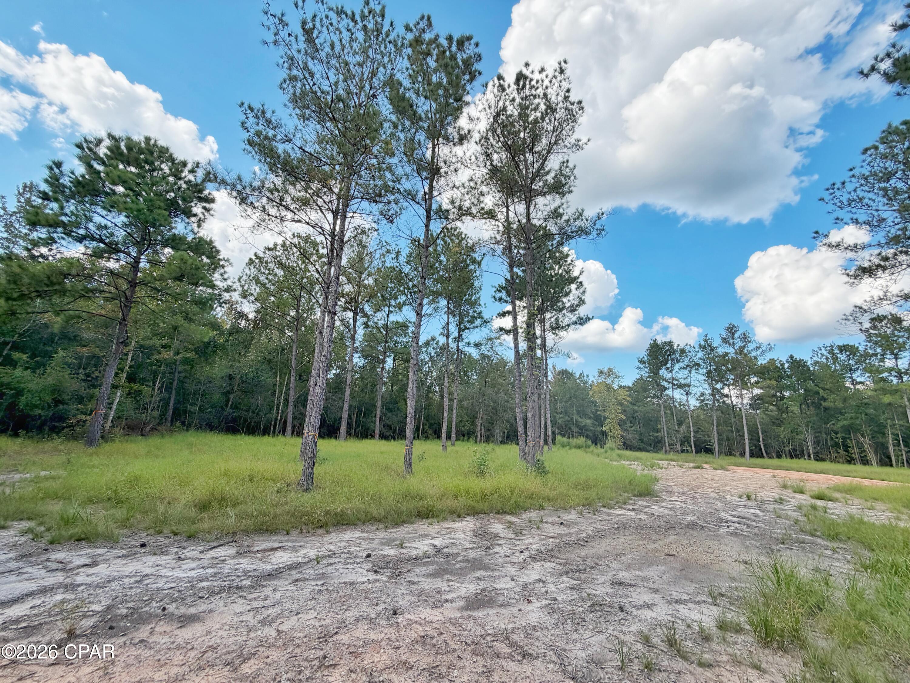 0 Old Spanish Trail Marianna FL 32448