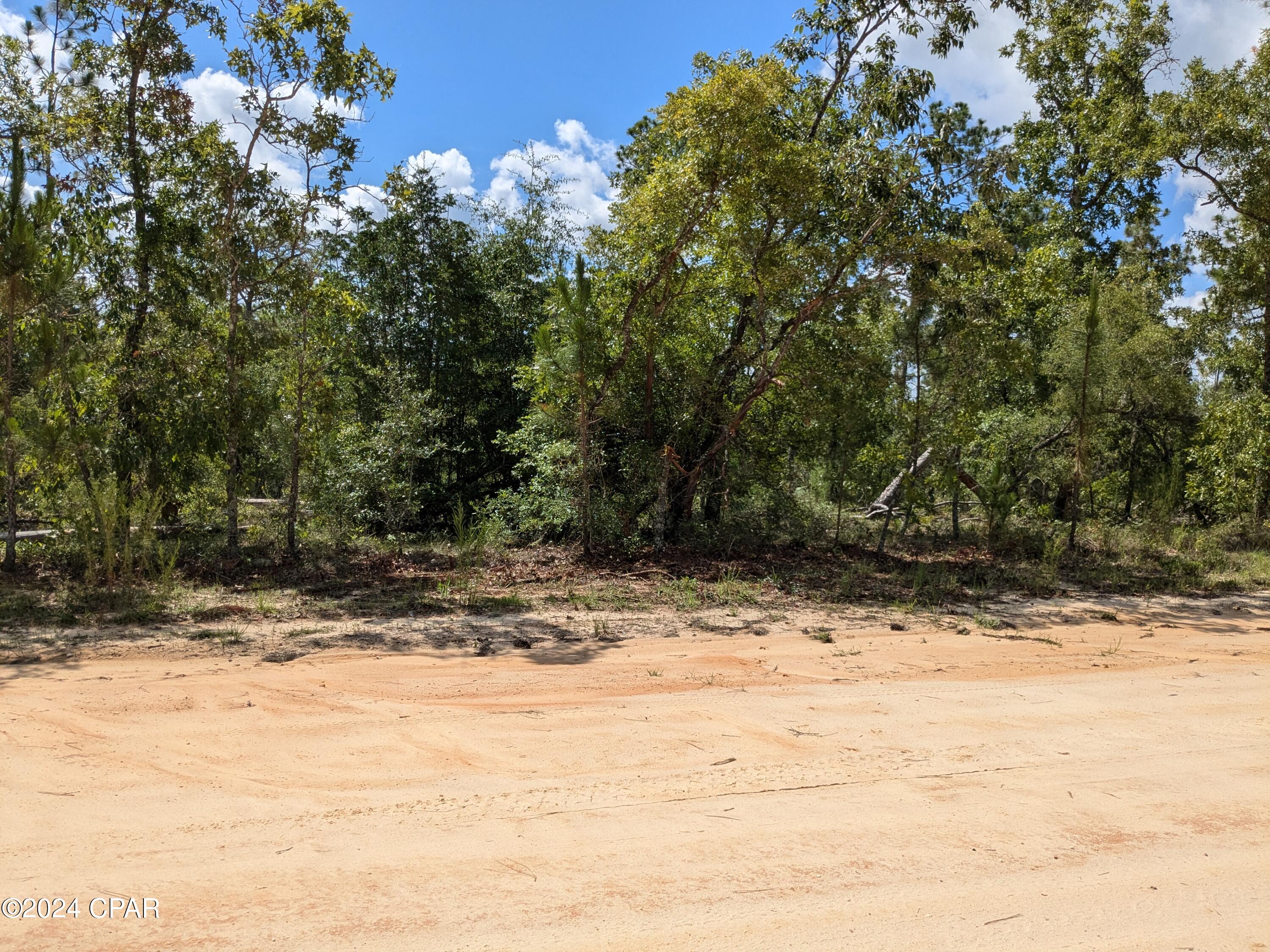 0 Frederica Drive Marianna FL 32448