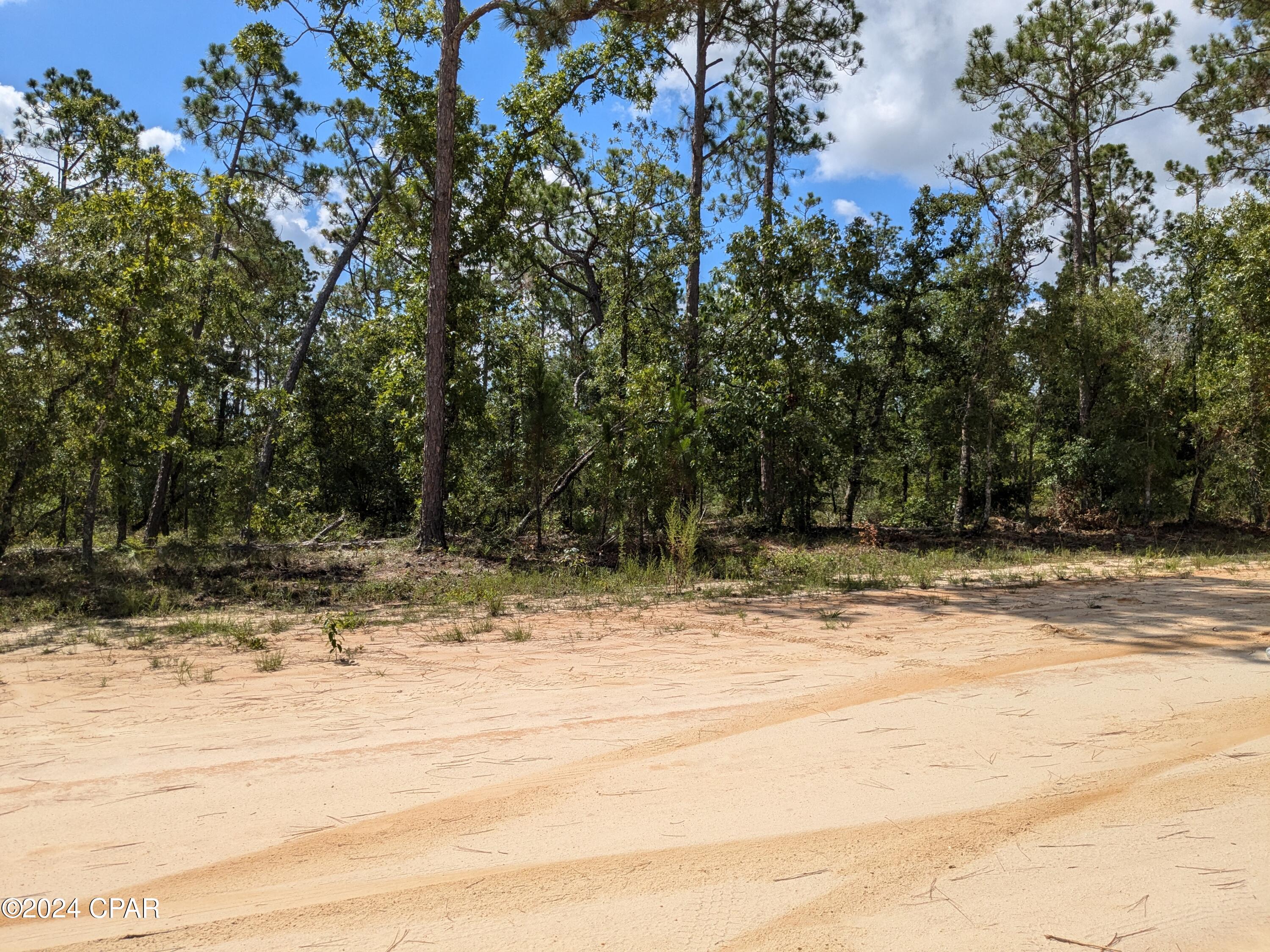 0 Frederica Drive Marianna FL 32448