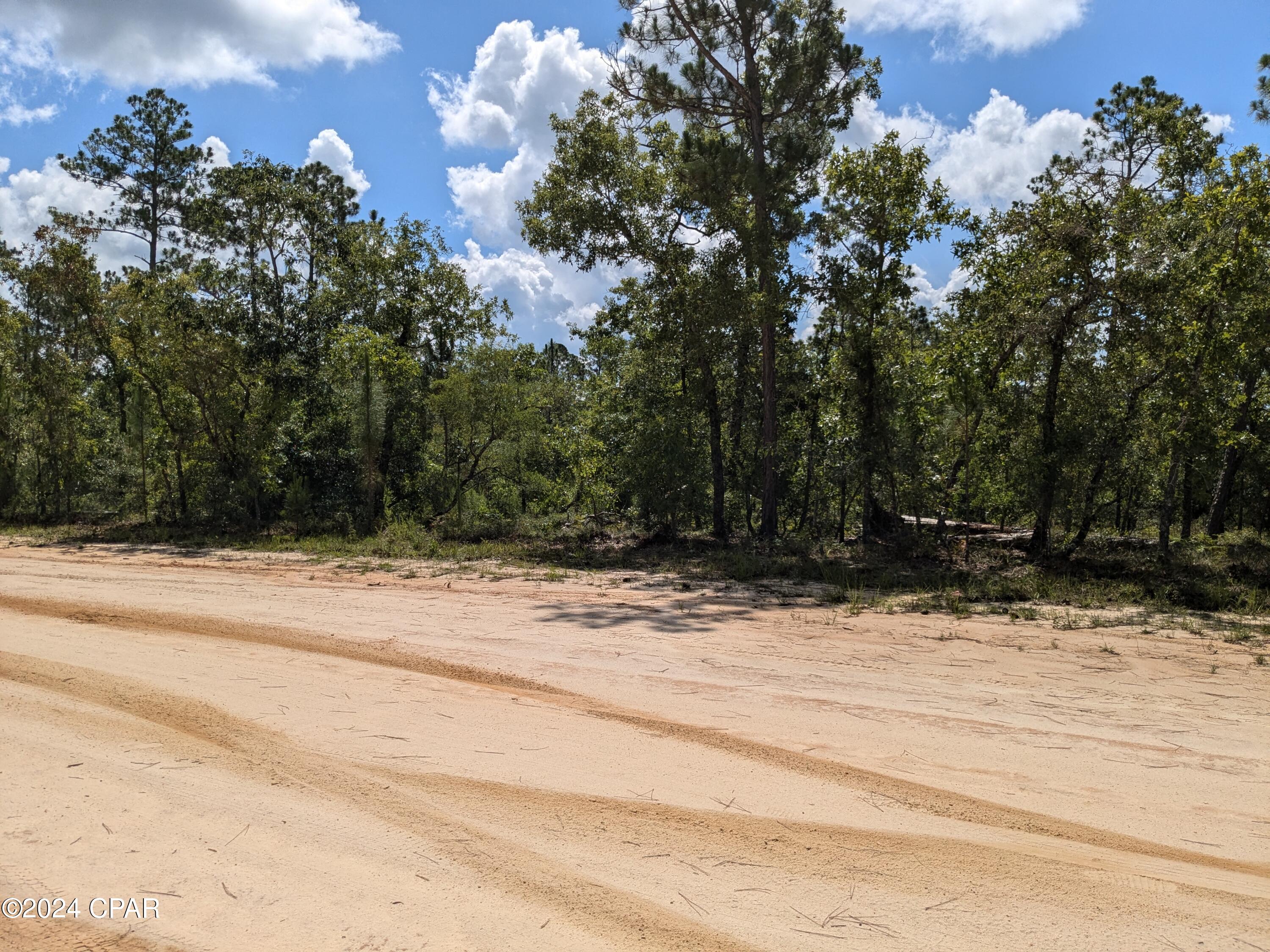 0 Frederica Drive Marianna FL 32448