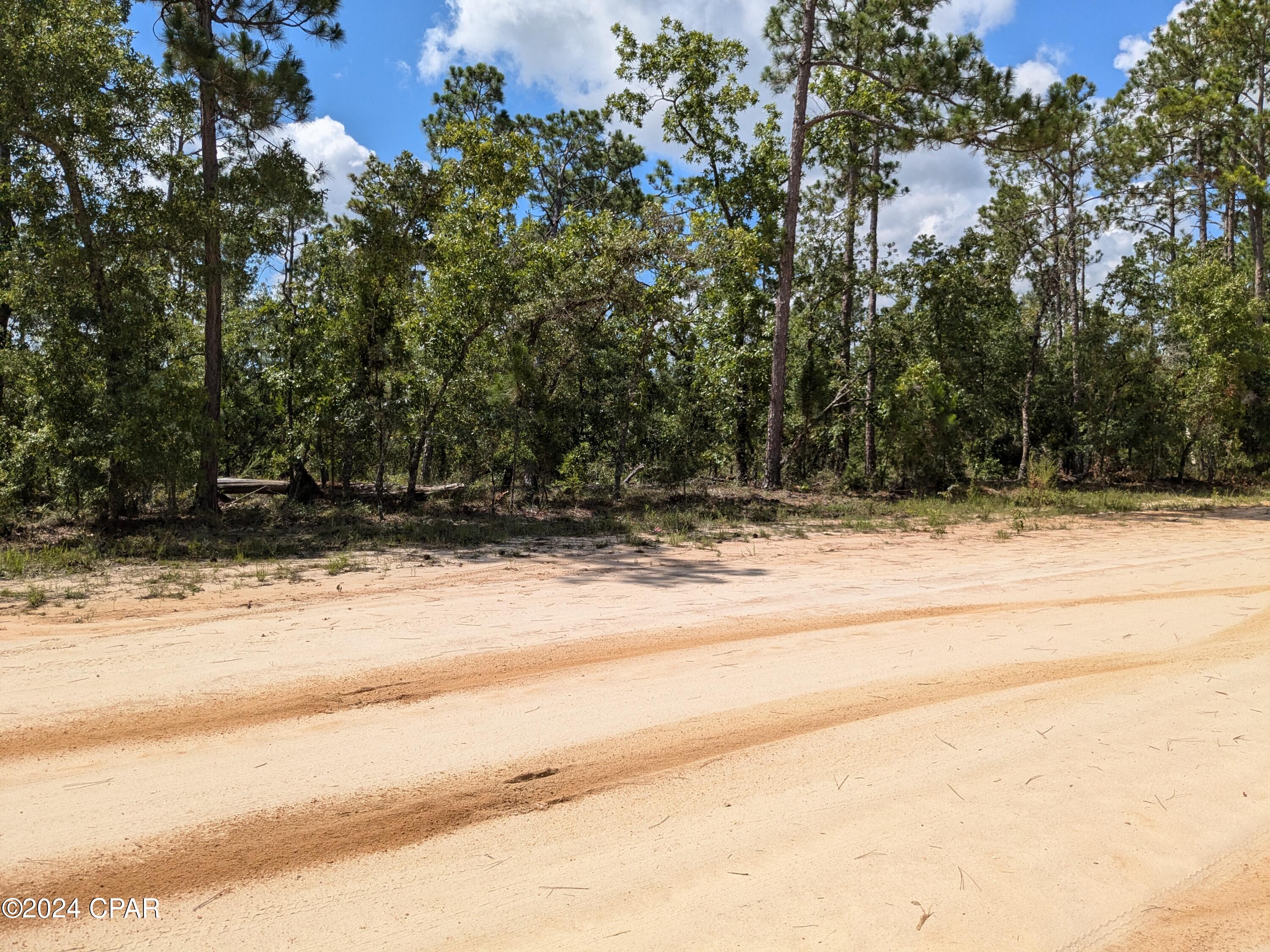 0 Frederica Drive Marianna FL 32448
