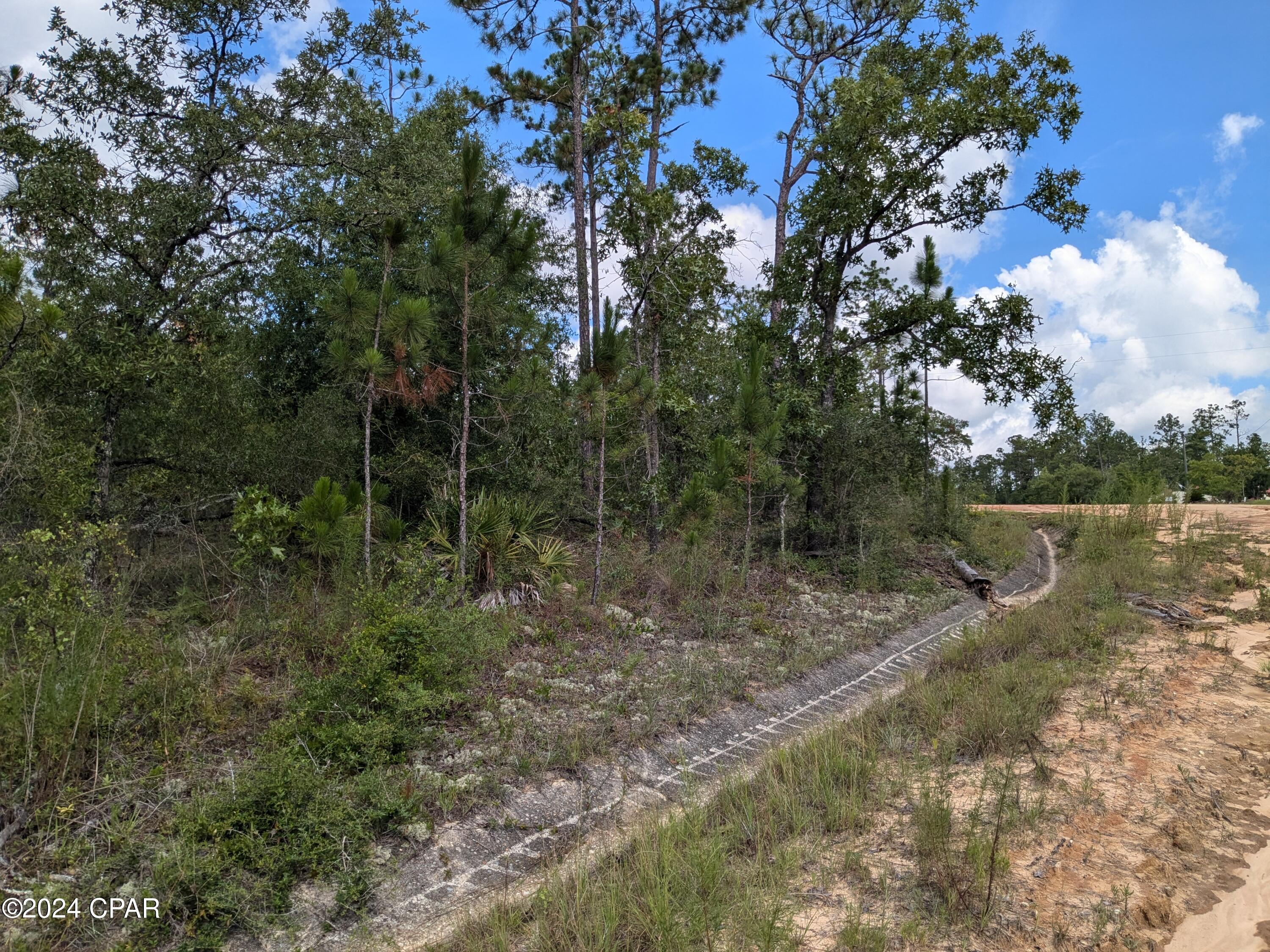 0 Frederica Drive Marianna FL 32448
