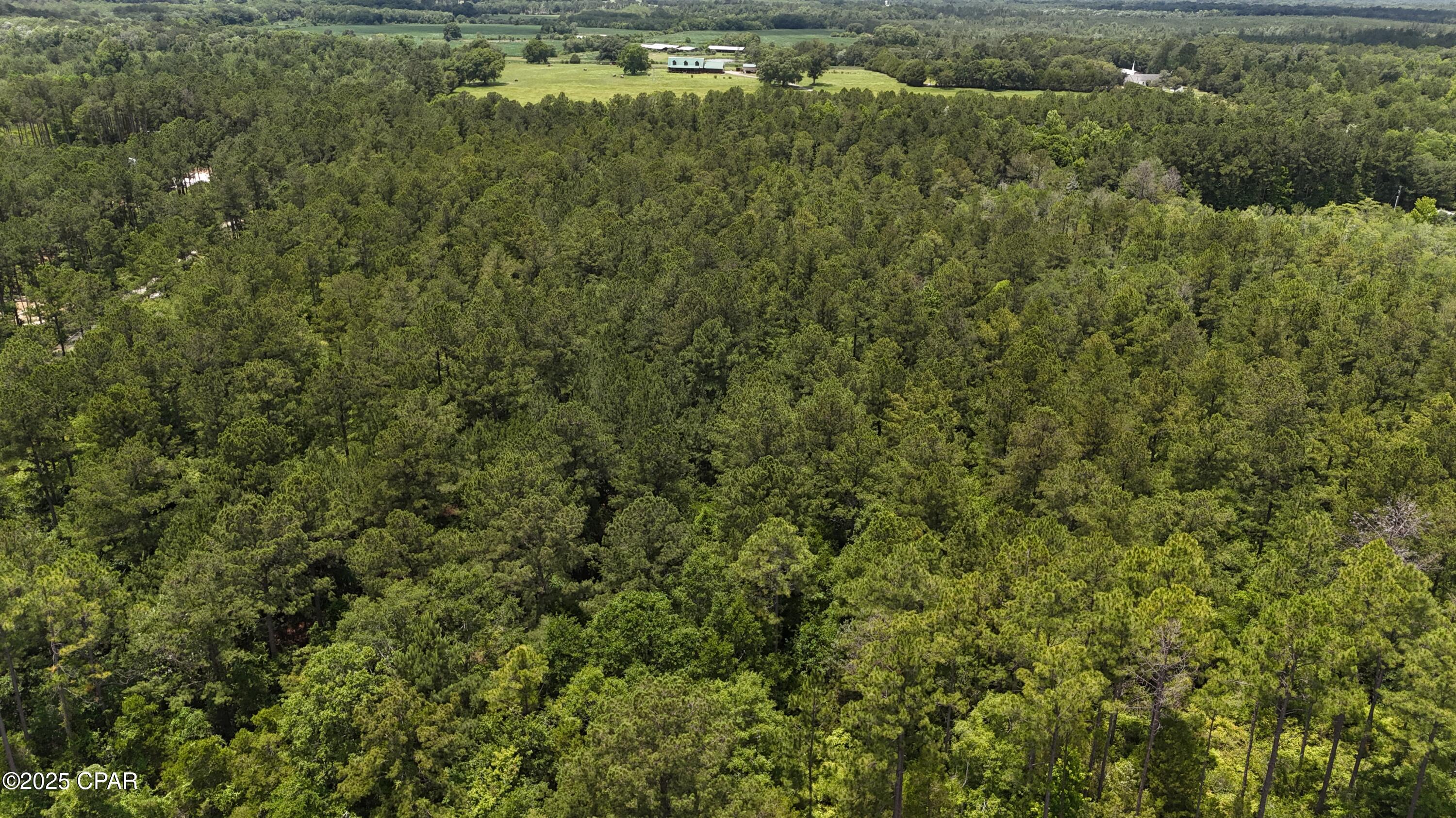 00 N Highway 79 North Bonifay FL 32425