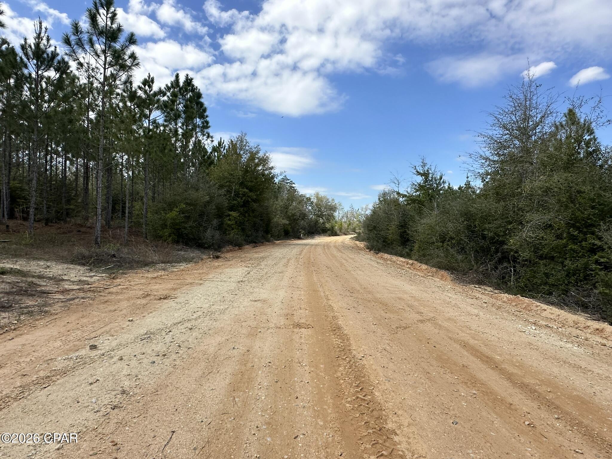 TRACT#6418 Mattox Springs Road Caryville FL 32427