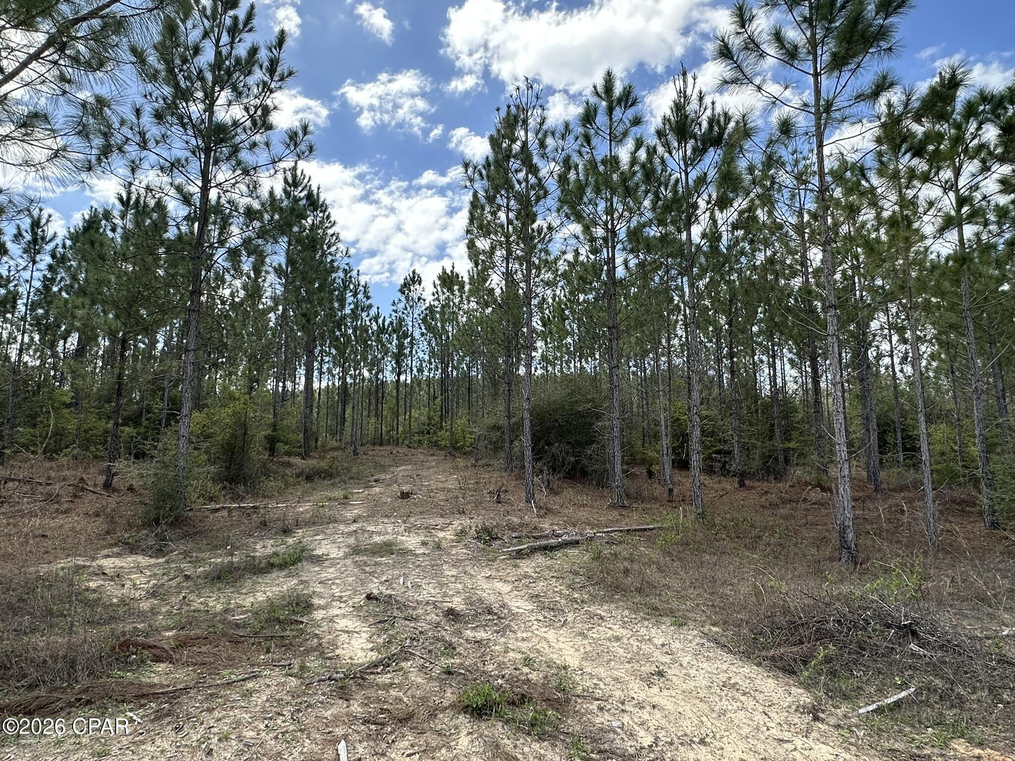 TRACT#6418 Mattox Springs Road Caryville FL 32427
