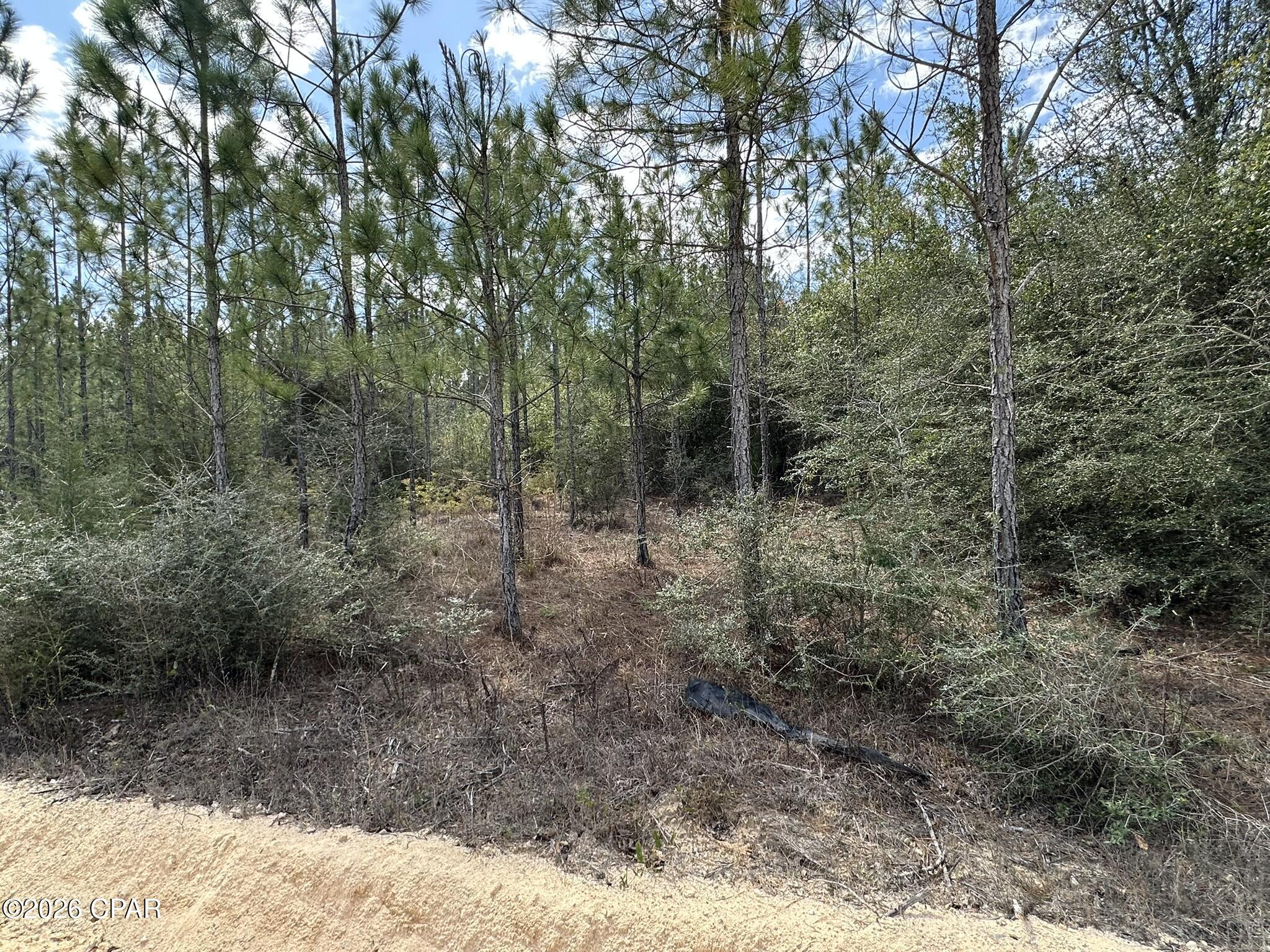 TRACT#6418 Mattox Springs Road Caryville FL 32427