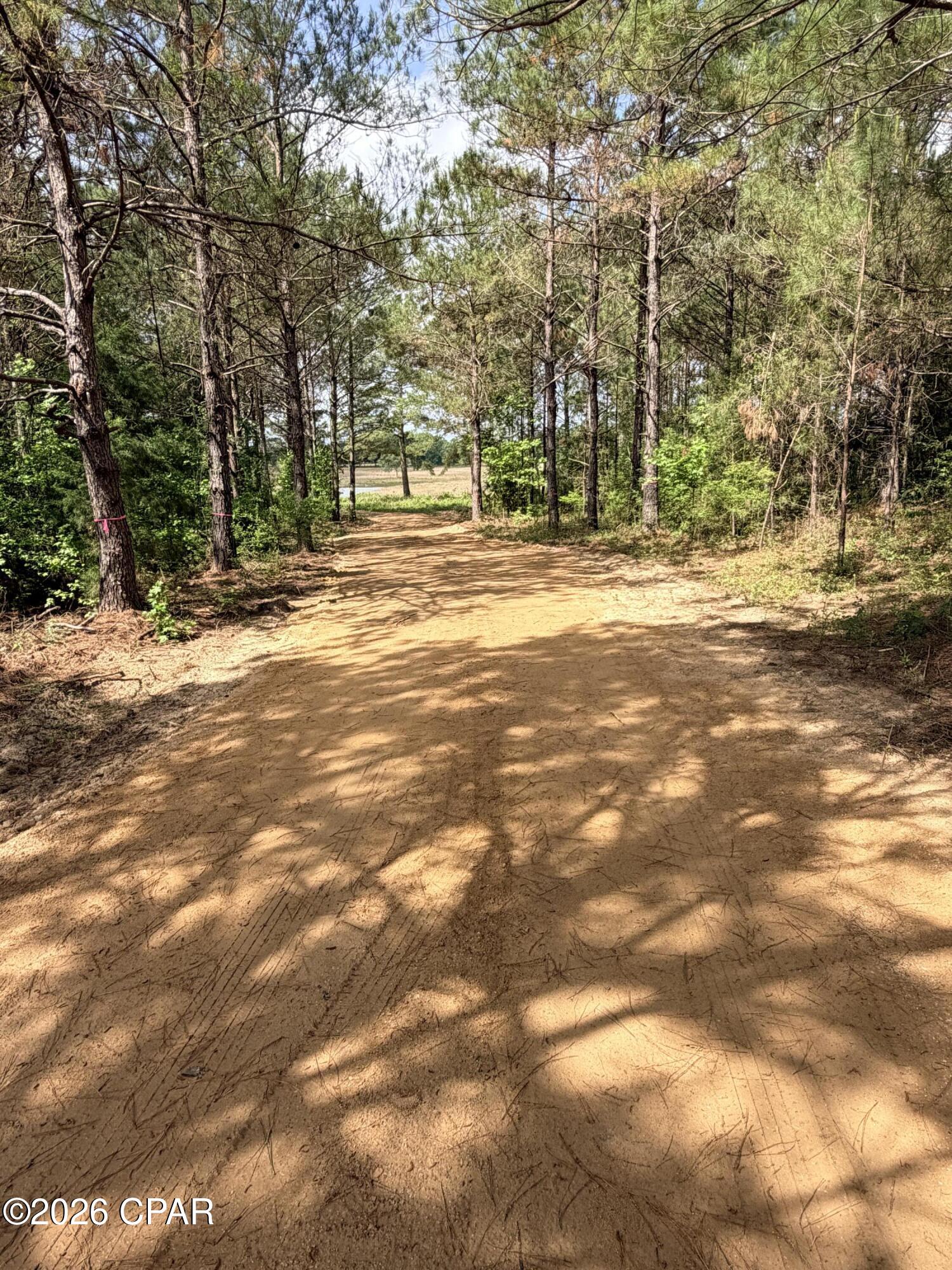 Xx Jj Whitakeroad Bonifay FL 32425