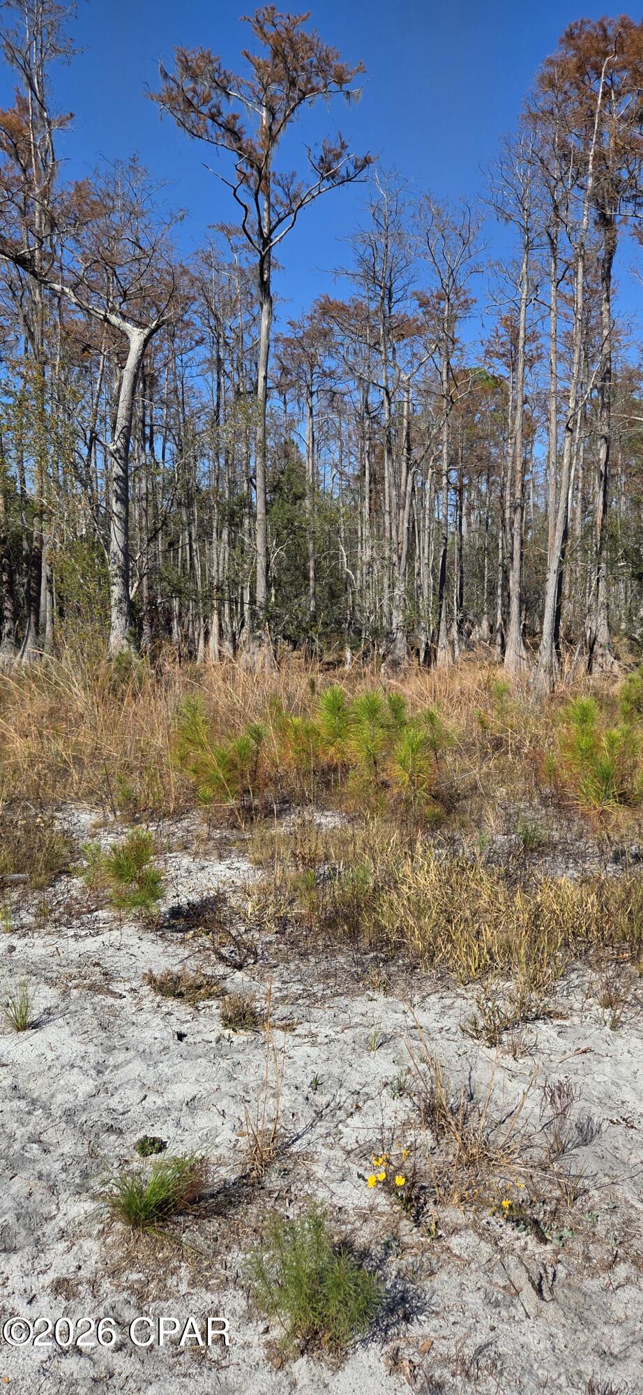 17627 Koerner Road Fountain FL 32438