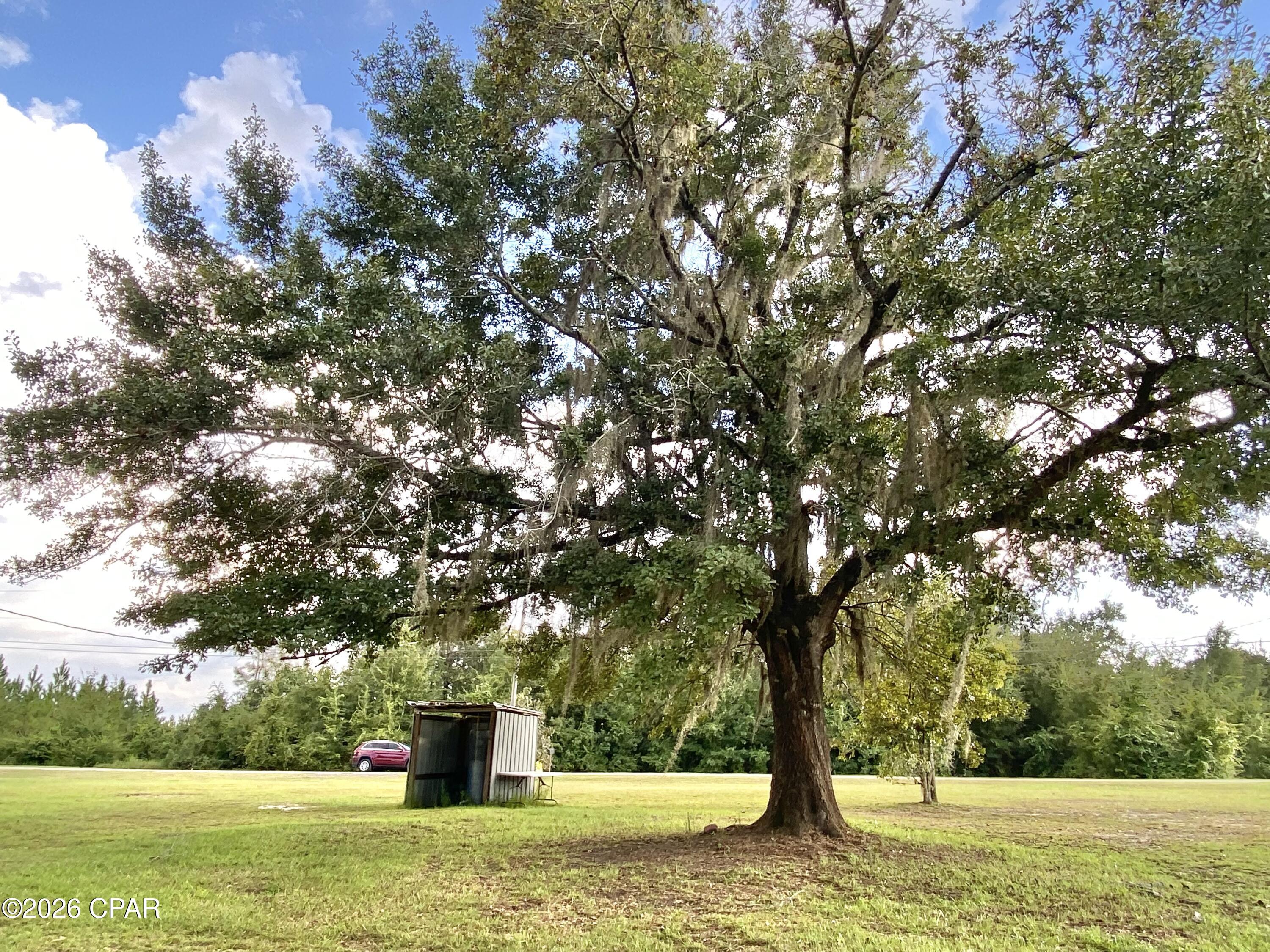 352 Michael Street Wewahitchka FL 32465