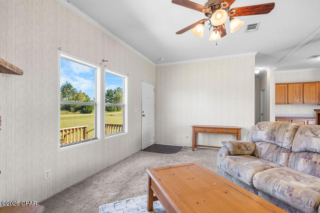 3924 Larkspur Circle Marianna FL 32446