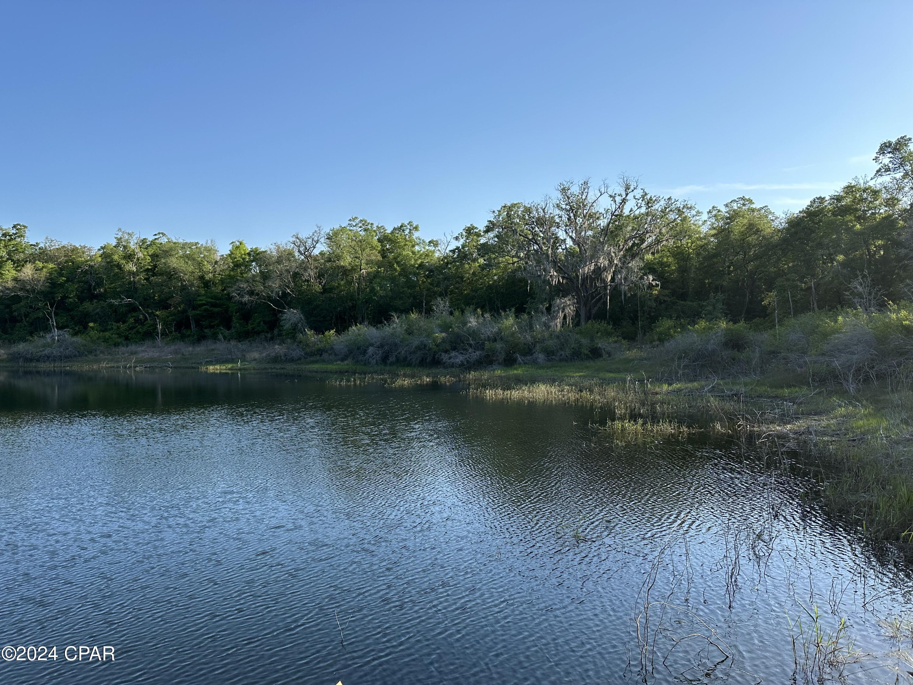 3985 Pine Log Road Chipley FL 32428