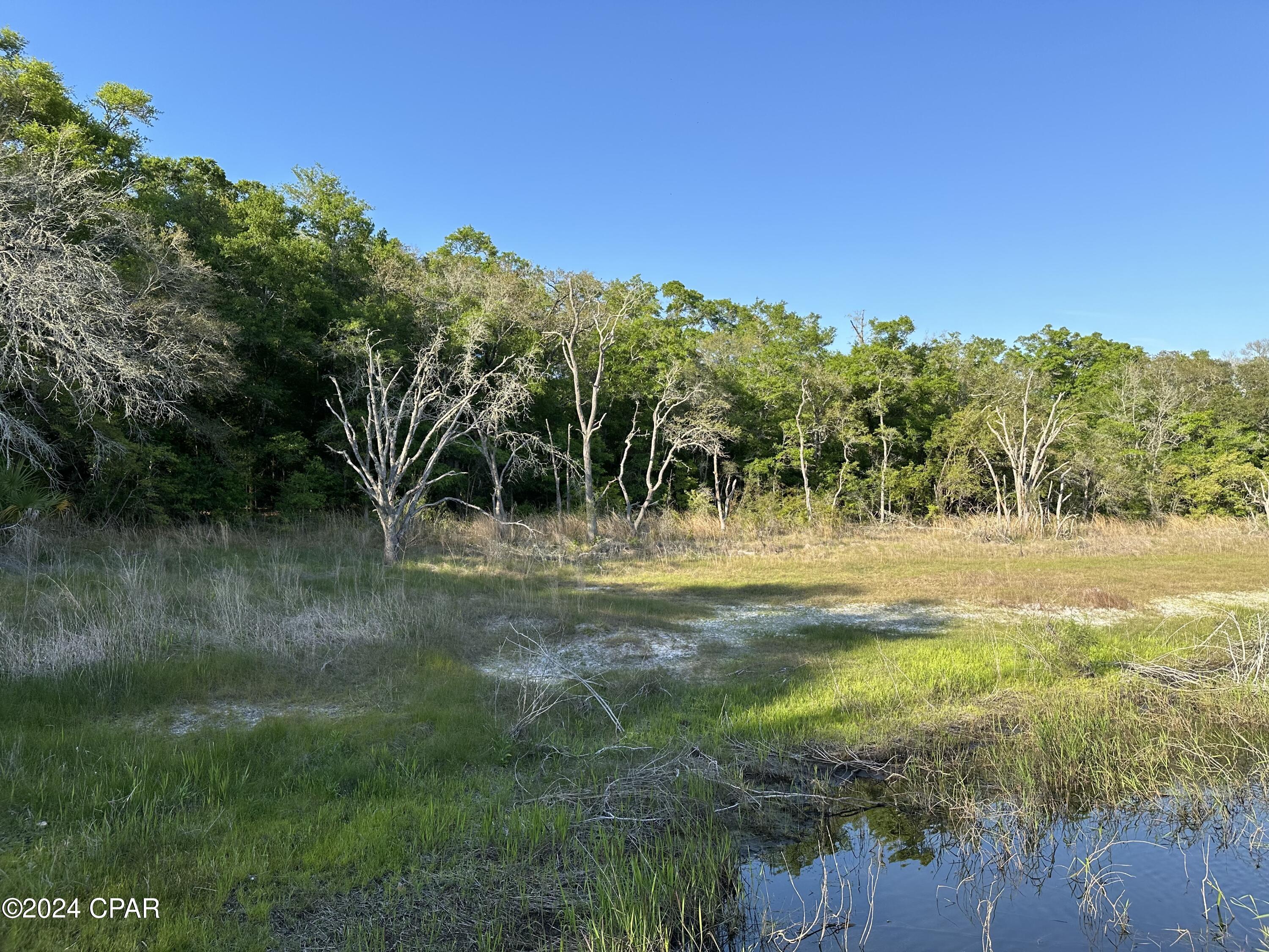 3985 Pine Log Road Chipley FL 32428