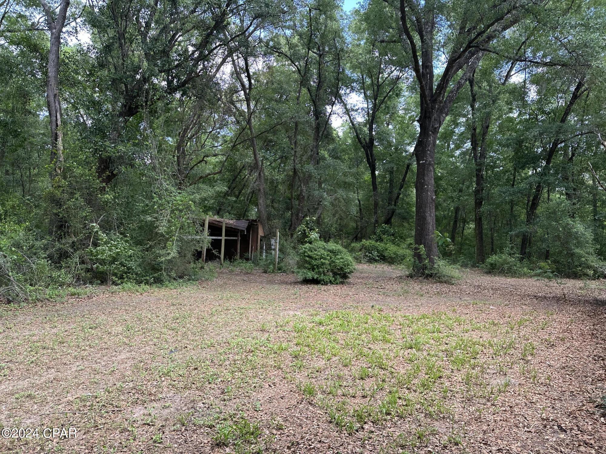 3985 Pine Log Road Chipley FL 32428
