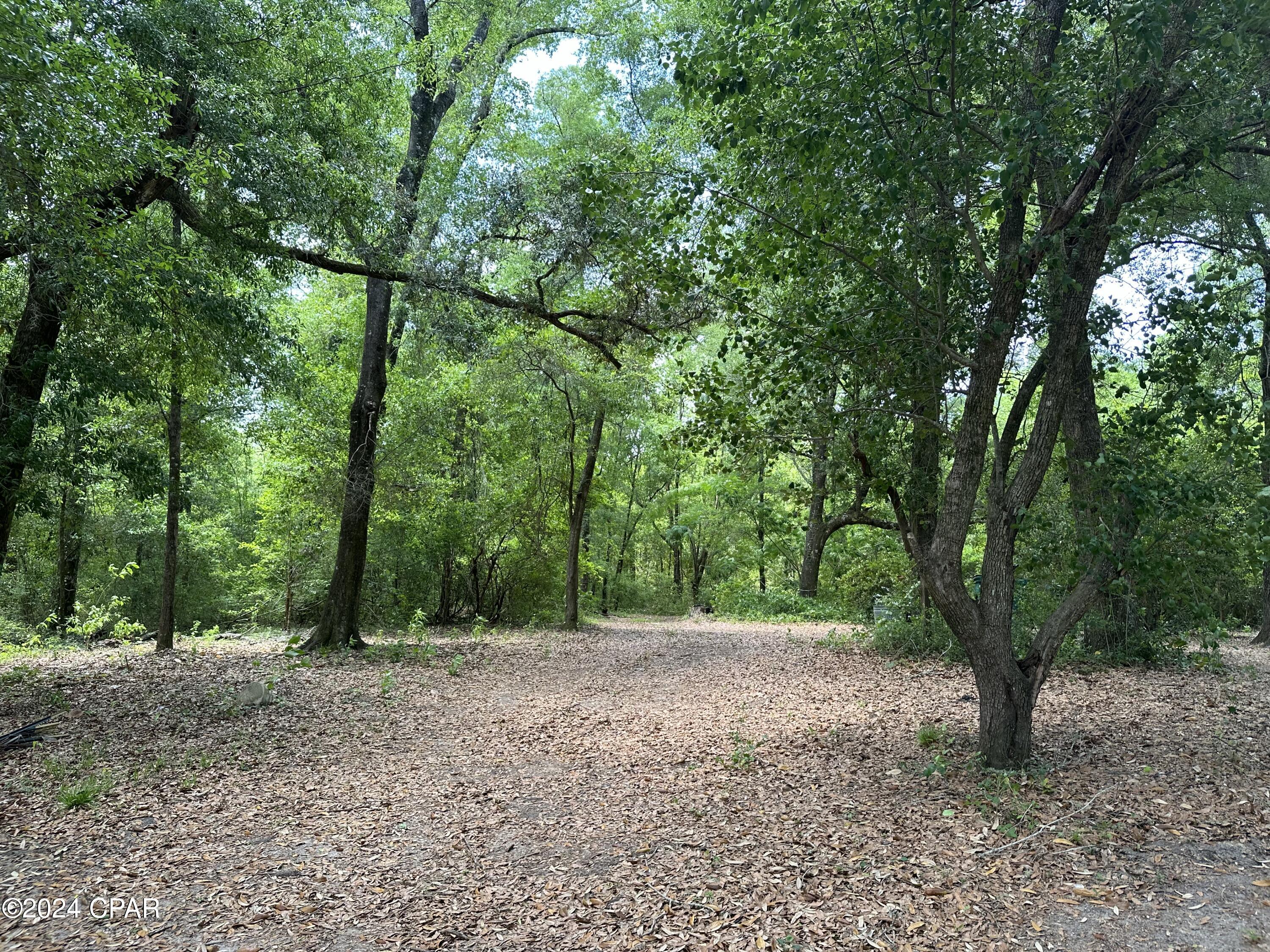 3985 Pine Log Road Chipley FL 32428