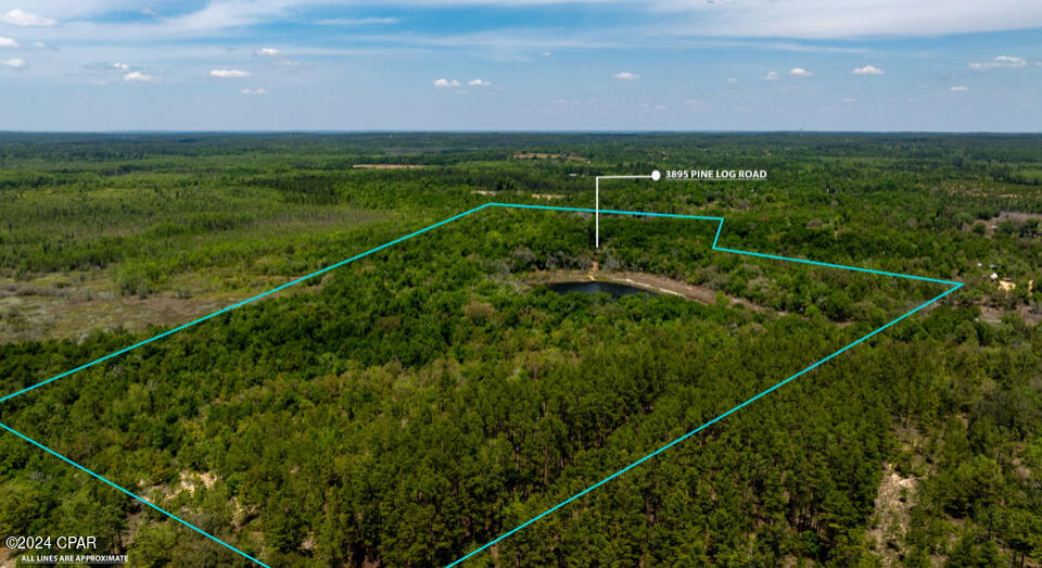3985 Pine Log Road Chipley FL 32428