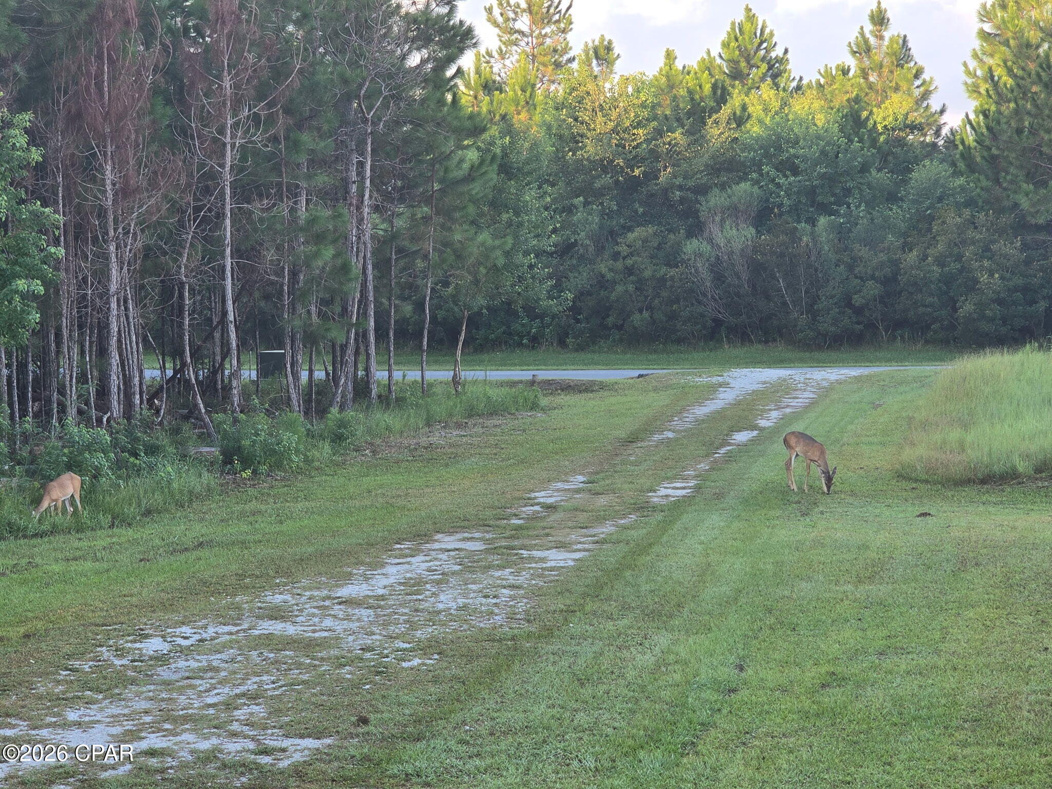 106 Calmwater Circle Wewahitchka FL 32465
