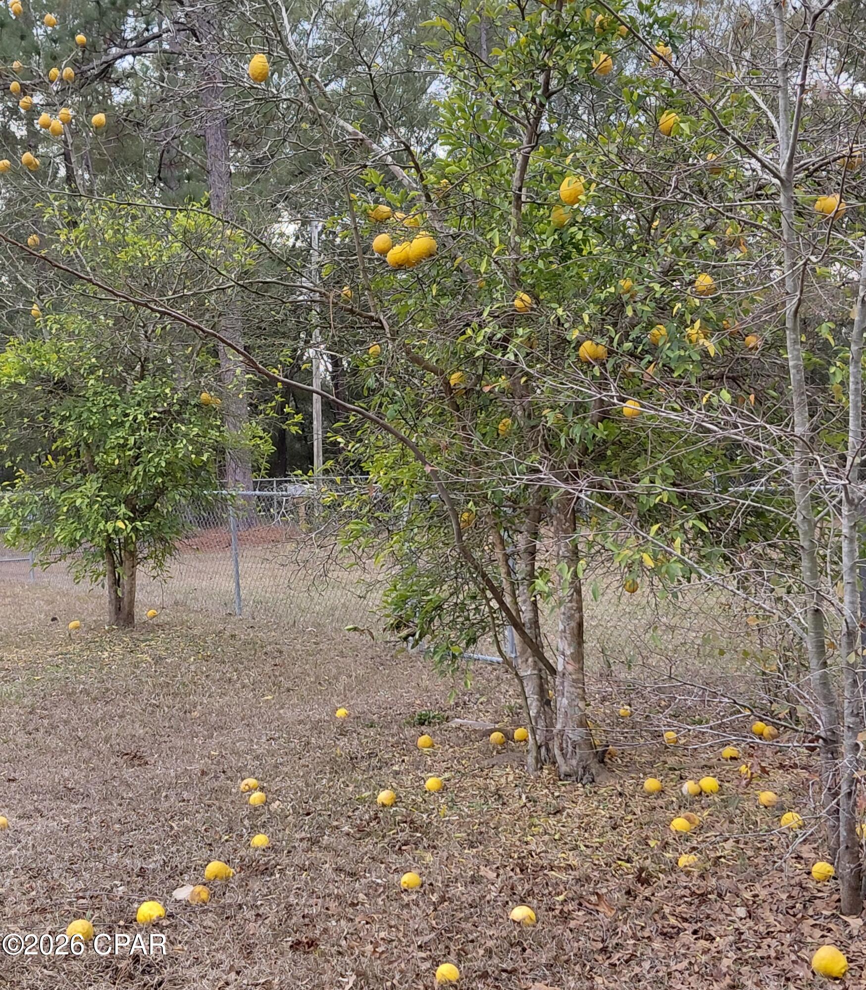 2735 Muir Lane Bonifay FL 32425