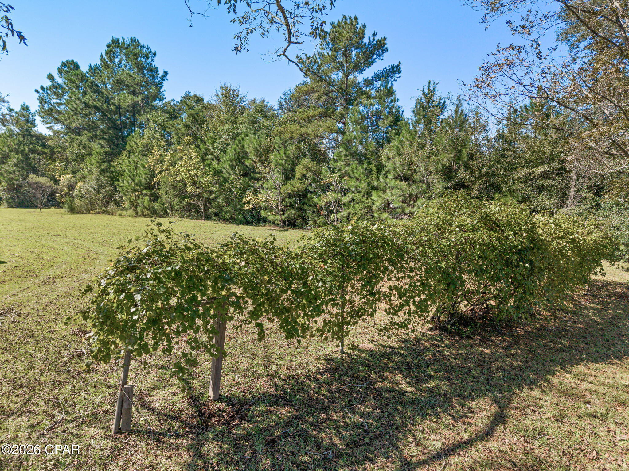 3395 Ontario Road Marianna FL 32448