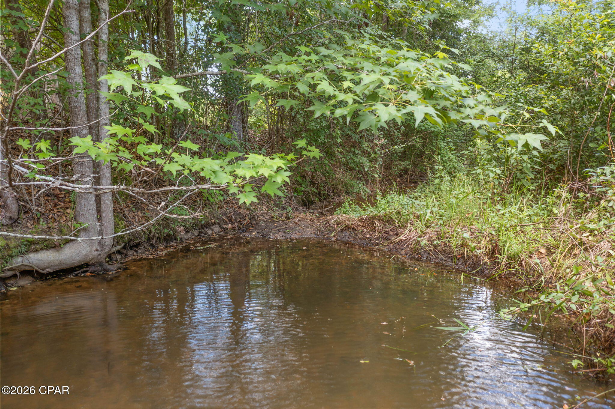940 Jamie Drive Chipley FL 32428