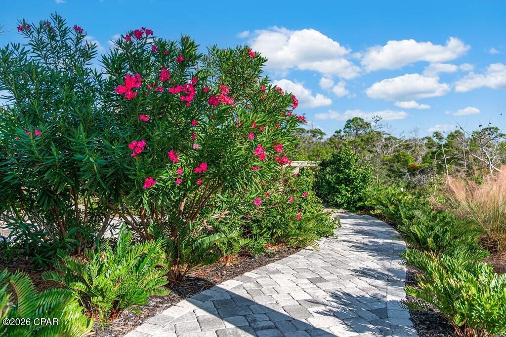 224 Haven Road Cape San Blas FL 32456