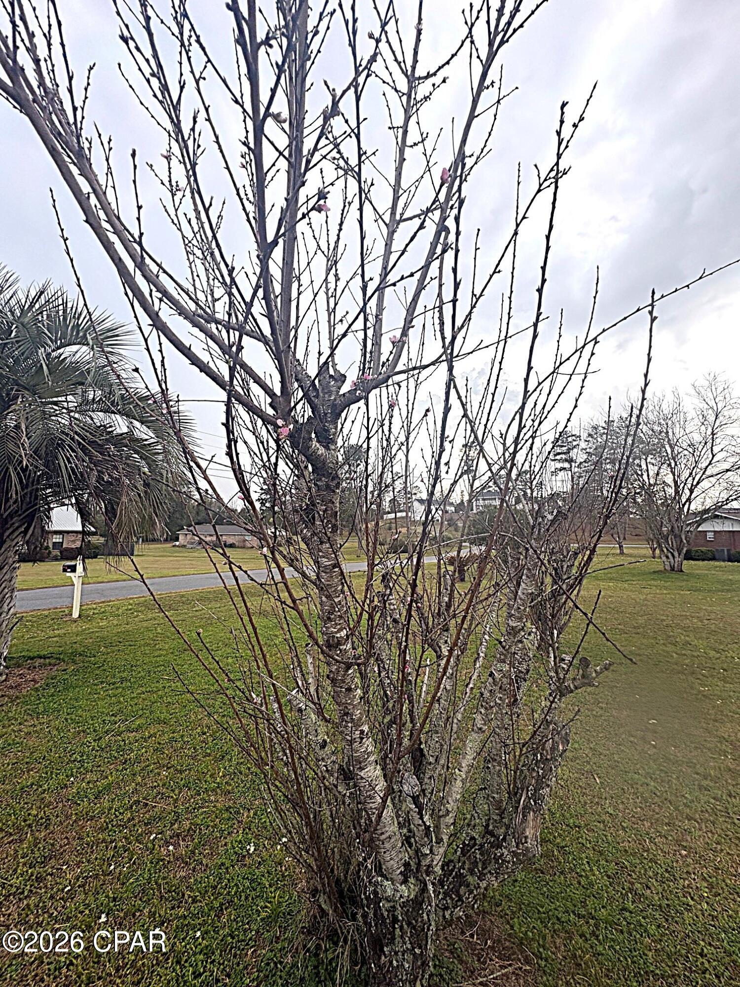 4642 River Drive Marianna FL 32446