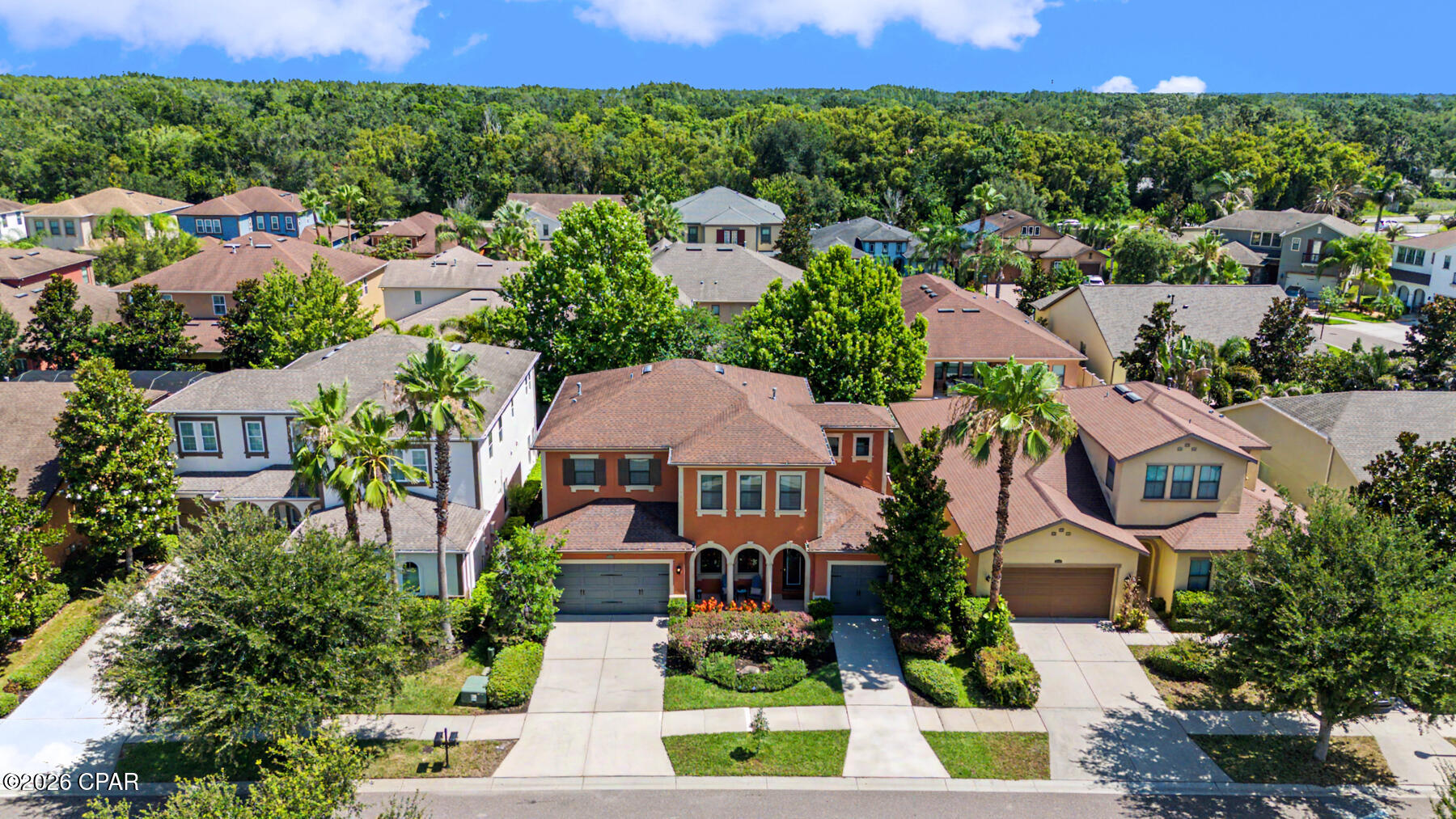 14317 Avon Farms Drive Tampa FL 33618