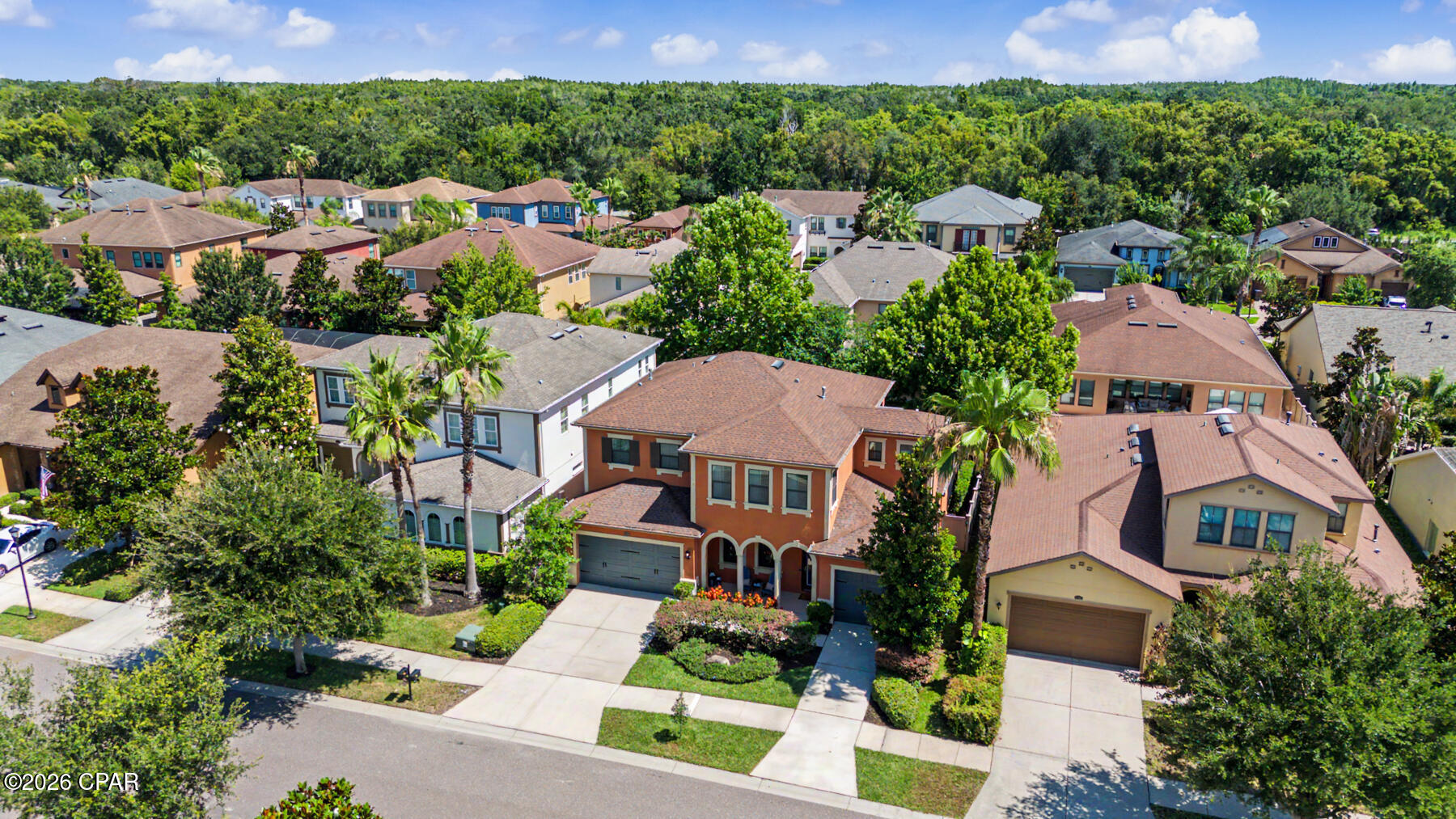 14317 Avon Farms Drive Tampa FL 33618