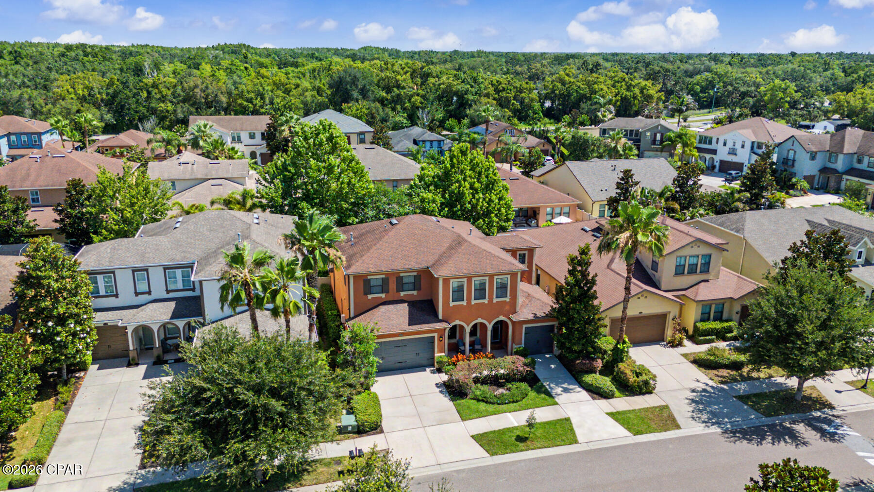 14317 Avon Farms Drive Tampa FL 33618