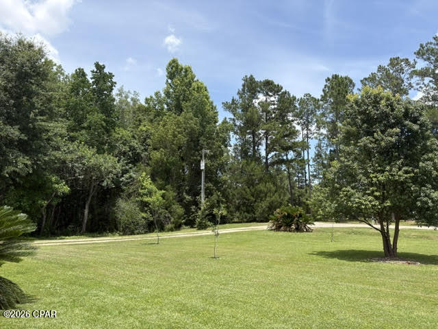191 Castlewood Lane Wewahitchka FL 32465