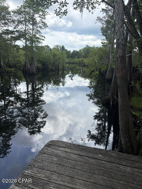 191 Castlewood Lane Wewahitchka FL 32465
