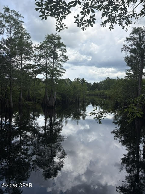 191 Castlewood Lane Wewahitchka FL 32465