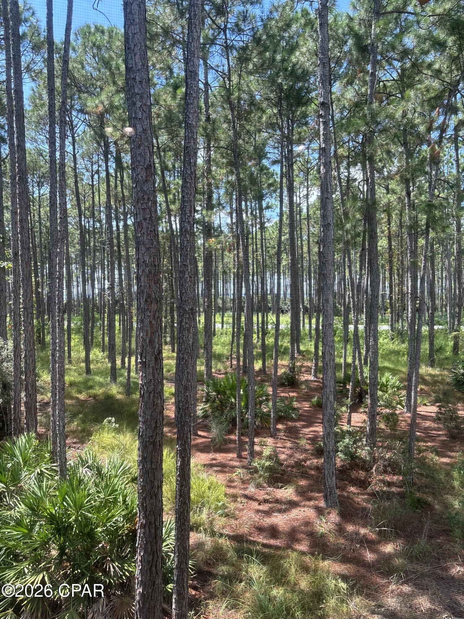 6407 Sawgrass Marsh Lane Panama City Beach FL 32413