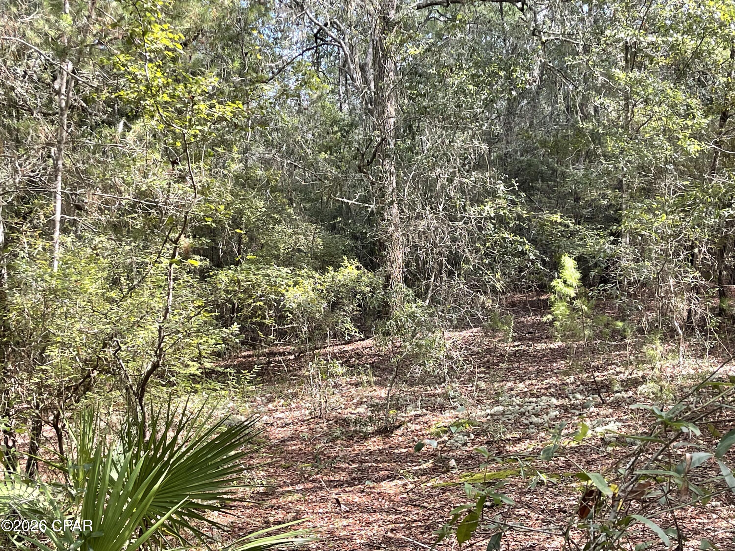 3902 Union Hill Road Caryville FL 32427