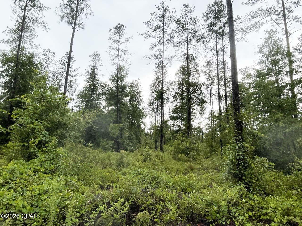 5175 Highway 90 Marianna FL 32446