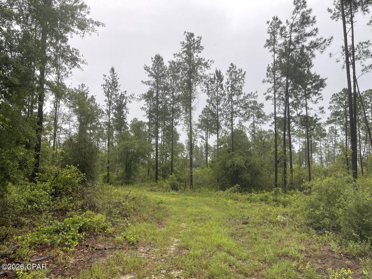 5175 Highway 90 Marianna FL 32446