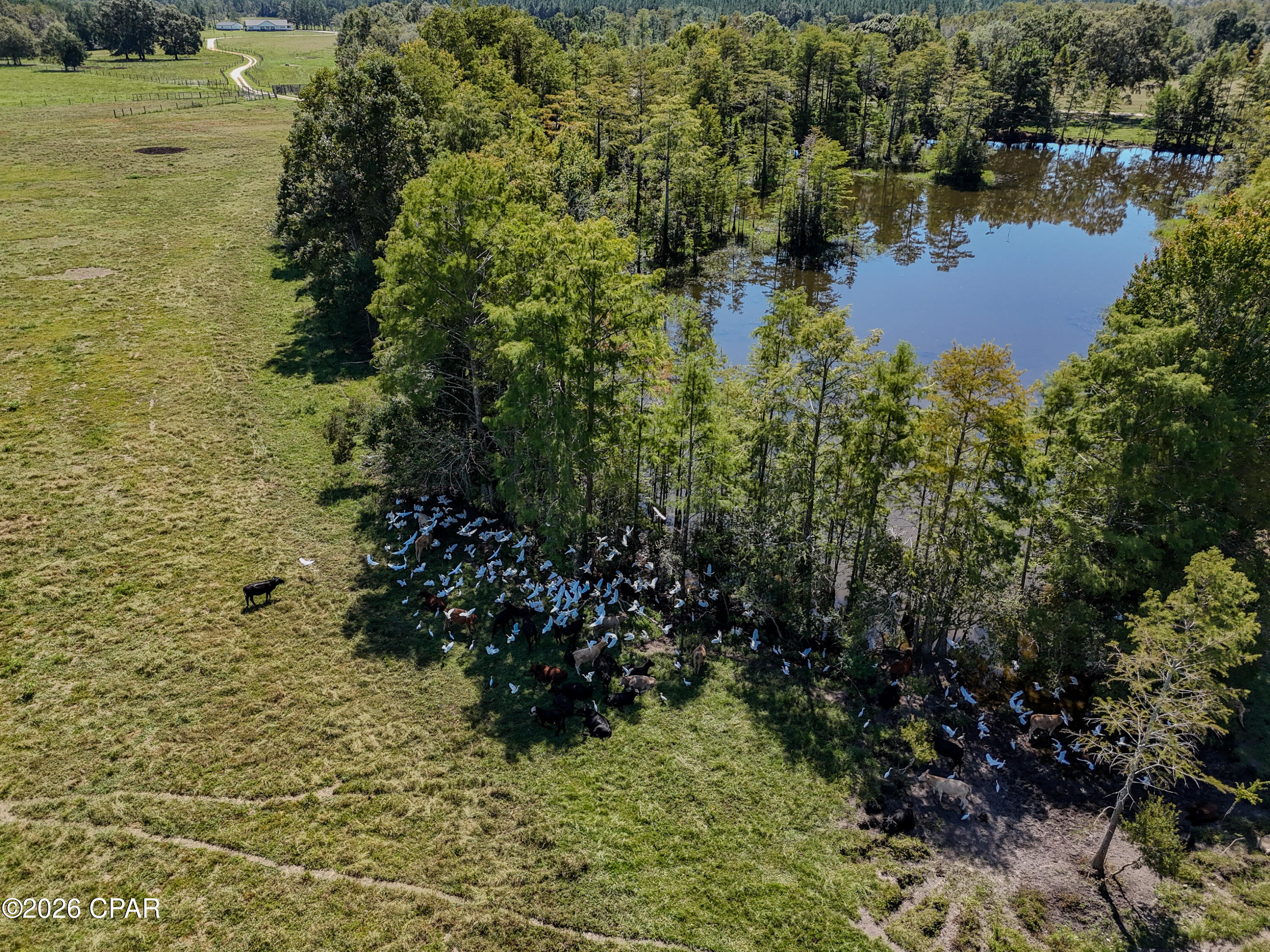 1409 Highway 177a Bonifay FL 32425