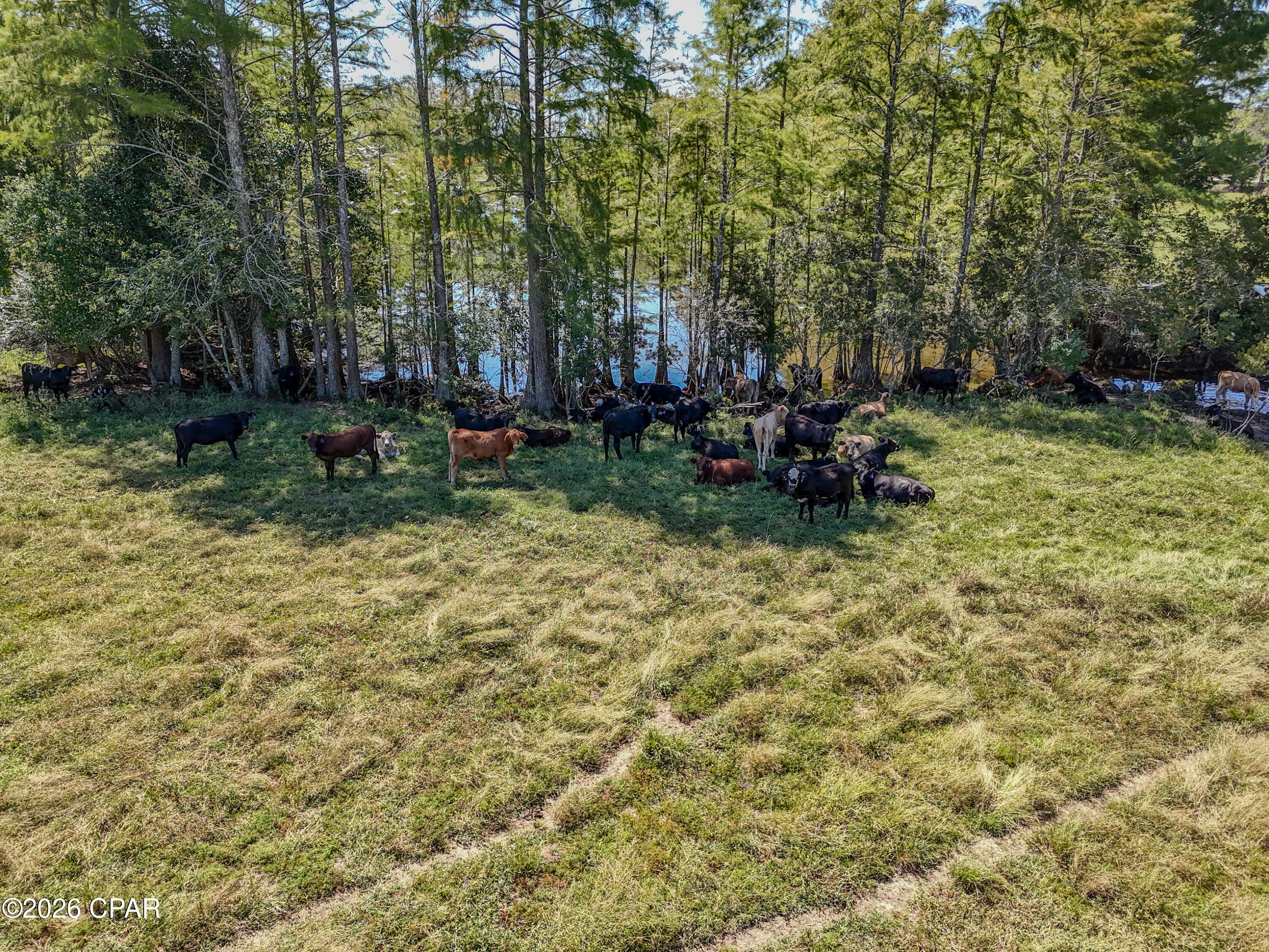 1409 Highway 177a Bonifay FL 32425