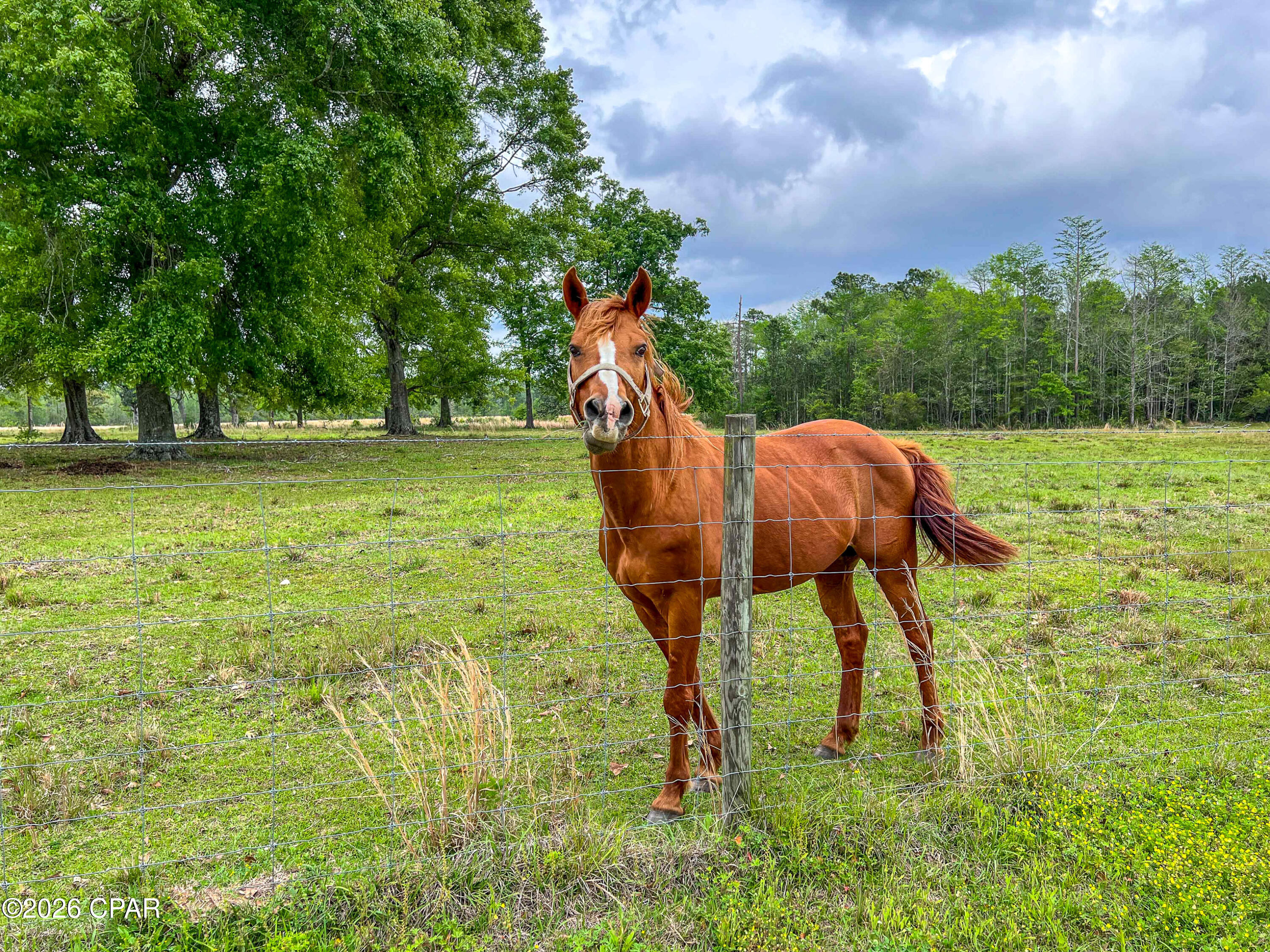 1409 Highway 177a Bonifay FL 32425
